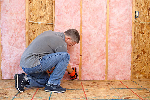 Best Types of Insulation in Sistersville, WV